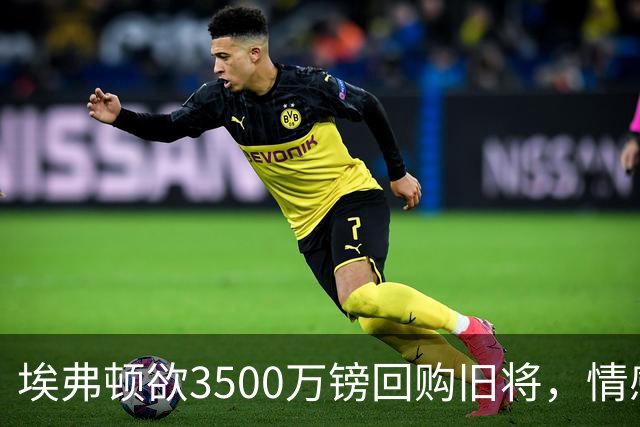埃弗顿欲3500万镑回购旧将，情感与理智如何取舍