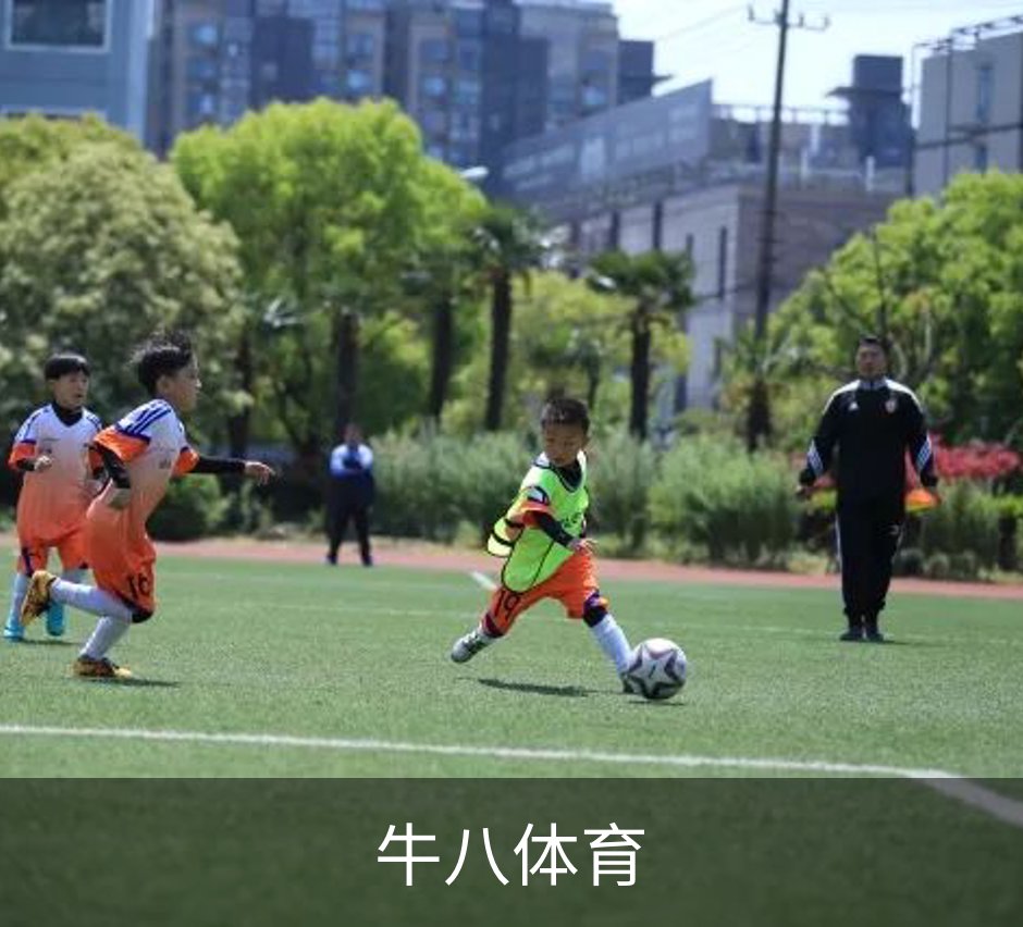 了解牛八体育